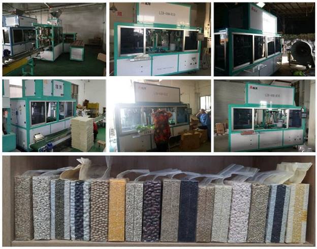 Máy đóng gói chân không tự động Pine Nuts LZB-600-FR10 - ảnh 7