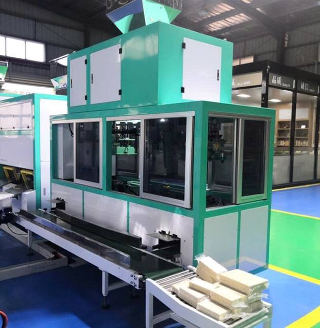 Máy đóng gói chân không tự động Pine Nuts LZB-600-FR10 - ảnh 5