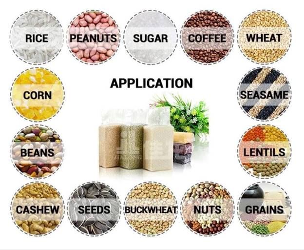 Máy đóng gói chân không tự động Pine Nuts LZB-600-FR10 - ảnh 2