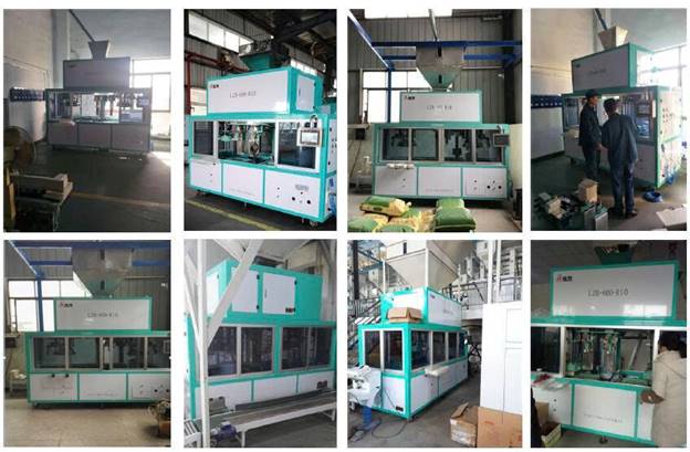 Máy đóng gói chân không tự động Pine Nuts LZB-600-FR10 - ảnh 6