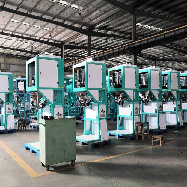 Máy đóng gói tiêu đen tiêu trắng 5-25kg DCS-100-A3 - ảnh 4