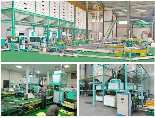 Máy đóng gói túi lớn 500-1000kg DCS-1000C - ảnh 8