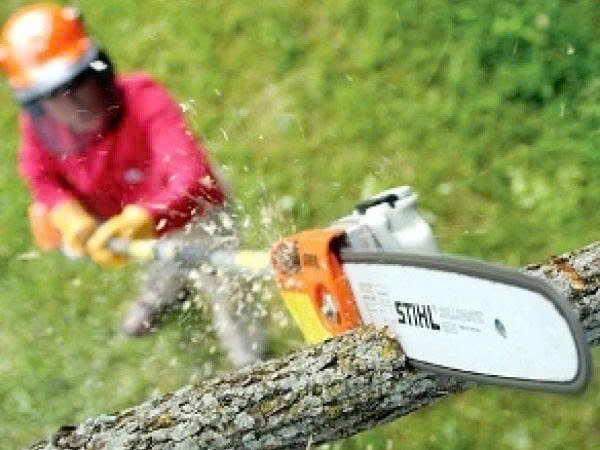 Máy cưa cành STIHL - HT75 (34mm - 25.4cc) (3/8) - ảnh 2