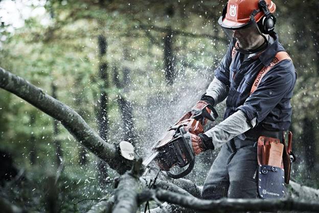Máy cưa xích Husqvarna 353 - ảnh 1