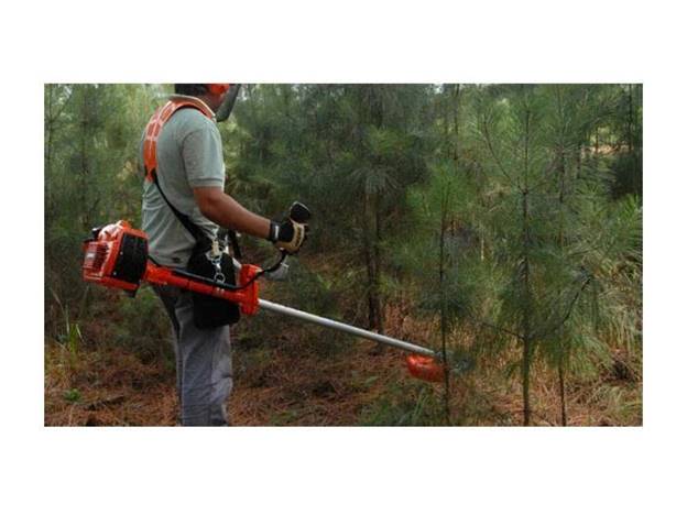 Máy cắt cỏ ECHO SRM3605/U (38mm - 34cc) - ảnh 2