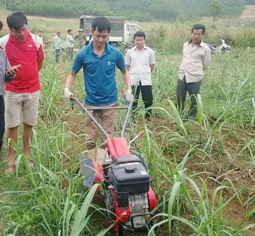 Máy Lên Luống Mitsubishi MS655 - ảnh 1