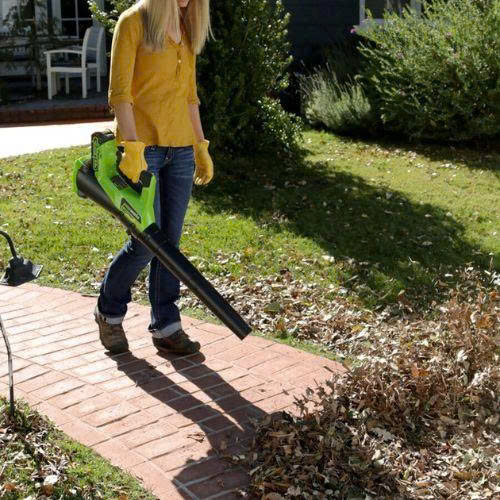 Máy thổi lá dùng pin Greenworks G40AB - ảnh 1
