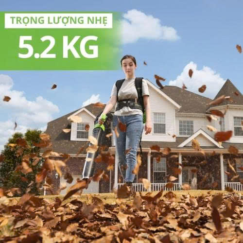 Máy thổi lá đeo lưng dùng pin Greenworks BLF451 (thân máy) - ảnh 4