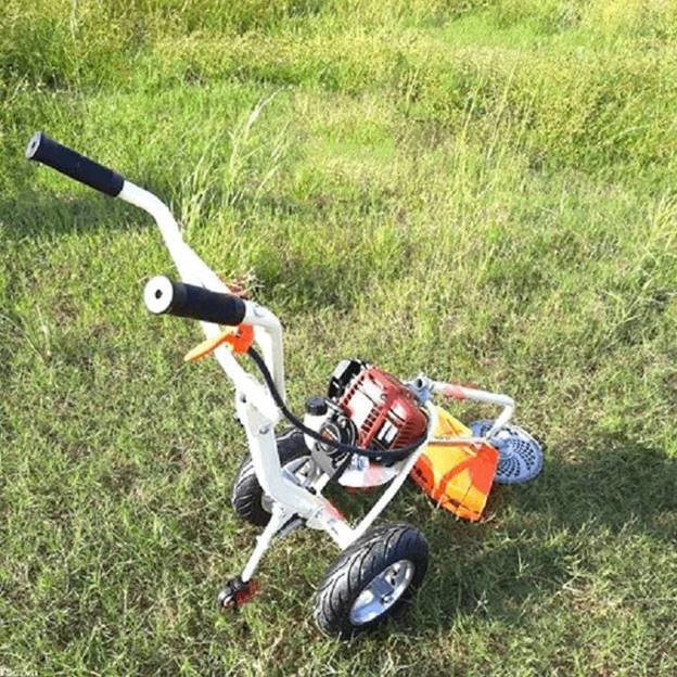 Máy Cắt Cỏ Chạy Xăng Honda VB-55D GX35 Đẩy Tay - ảnh 1