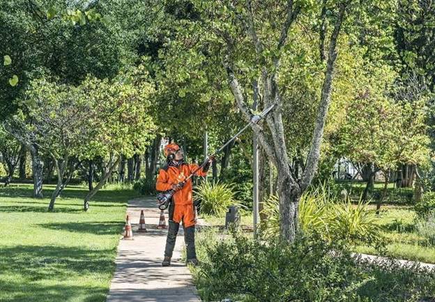 Máy Cắt Cành Tầm Cao 1KW Husqvarna 525PT5S - ảnh 1