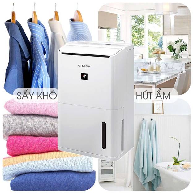 Máy hút ẩm Sharp DW-D20A-W (20 lít/ngày) - ảnh 2