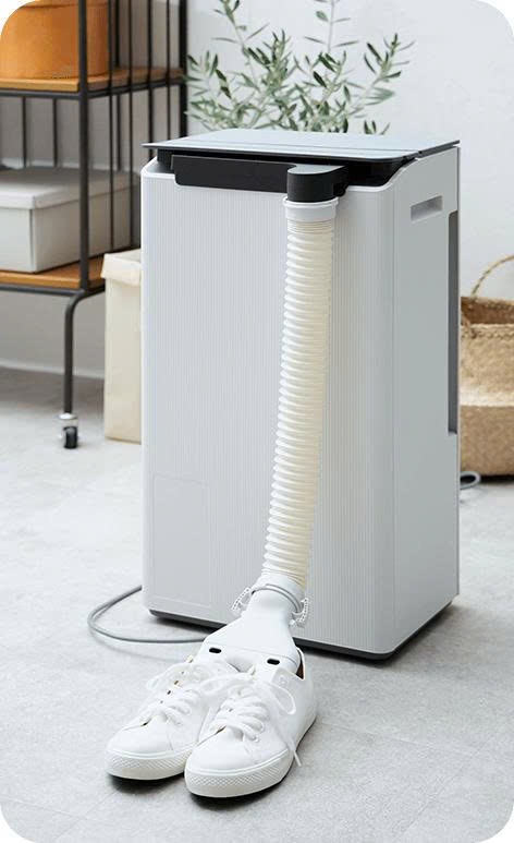 Máy hút ẩm Sharp DW-T30HV-W (30 lít/ngày) - ảnh 4