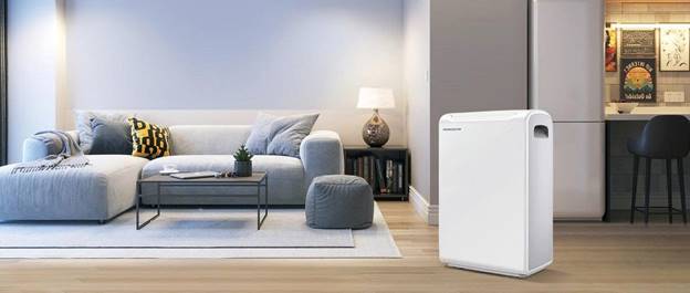 Máy hút ẩm Parkoo HD221 - ảnh 2