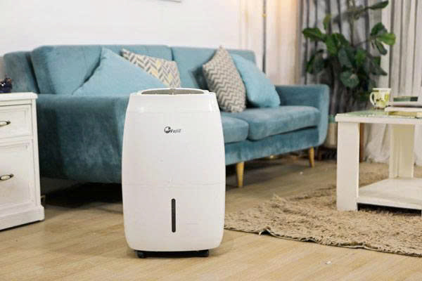 Máy hút ẩm Fujie HM-920EC công suất 20 lít/ngày - ảnh 1