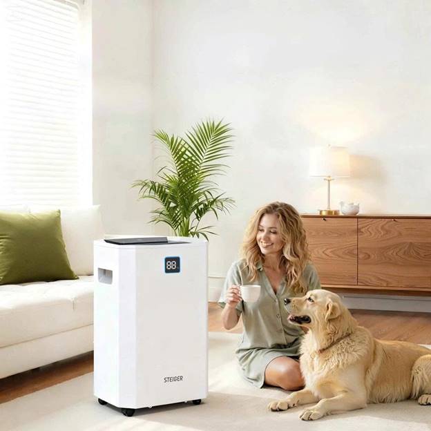 Máy hút ẩm Steiger STG-855DW (55 lít/ngày) - ảnh 1