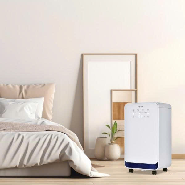 Máy hút ẩm Fujihome DH10 công suất 10 lít/ngày - ảnh 1