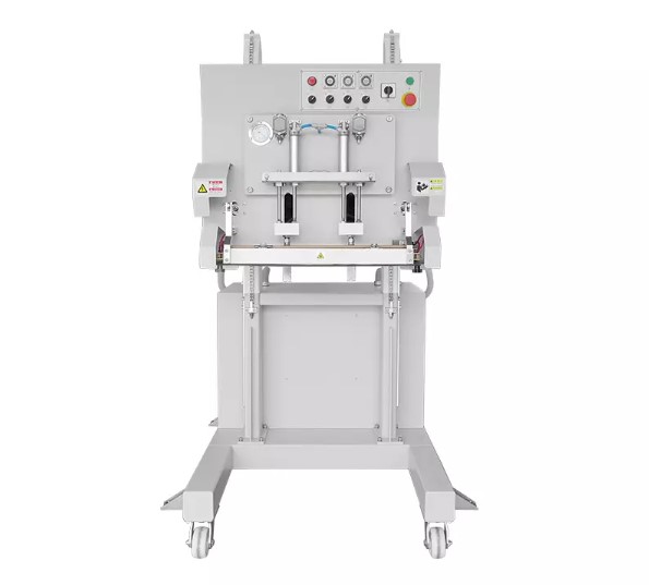 Máy đóng gói hút chân không và thổi khí dạng đứng DZQ-600LD - ảnh 1