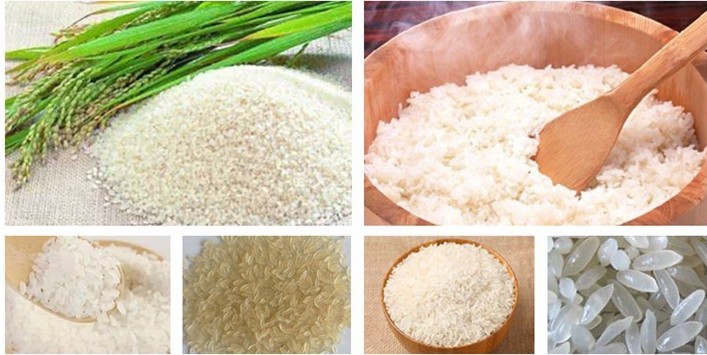 Dây chuyền sản xuất máy làm gạo DT-100 - ảnh 2