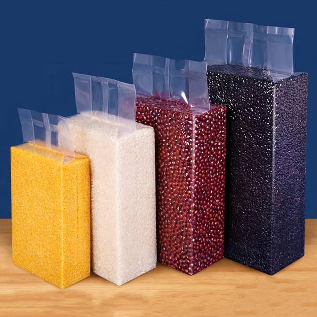 Máy đóng gói chân không bán tự động LZB-600-R10 - ảnh 4