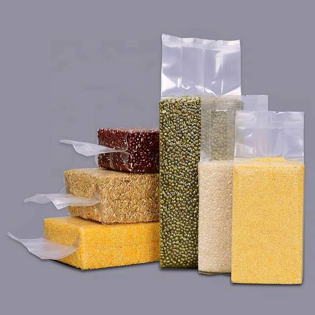 Máy đóng gói chân không bán tự động LZB-600-R10 - ảnh 3