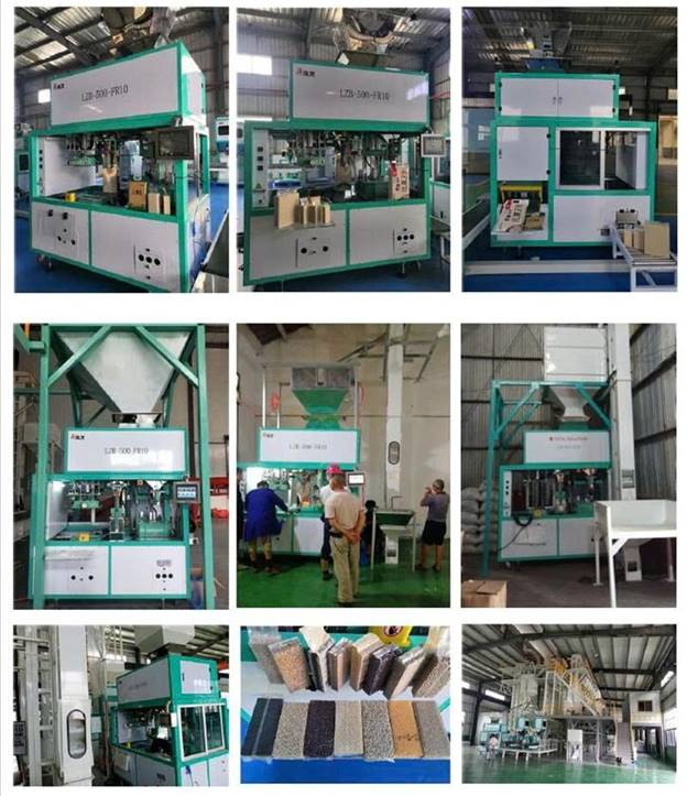 Máy đóng gói hút chân không 0,5-10kg LZB-500-FR10 - ảnh 6