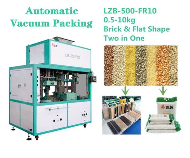 Máy đóng gói hút chân không 0,5-10kg LZB-500-FR10 - ảnh 5