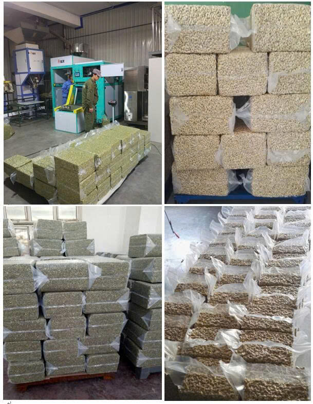 Máy đóng gói hút chân không Pistachio 10kg 15kg 20kg 25 kg bán tự động LZB-150-M3/S - ảnh 3