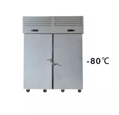 Tủ đông nhanh 30 khay thẳng đứng -80℃ Prosky SAGA 1250L