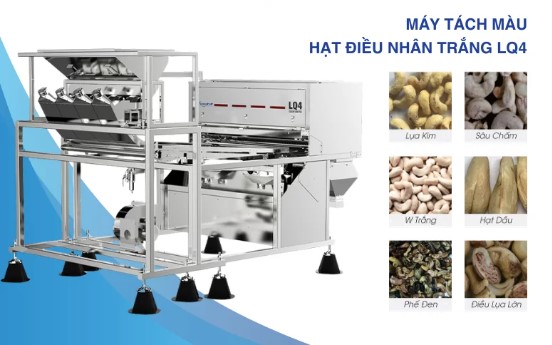 Máy bắn màu hạt điều nhân trắng LQ4