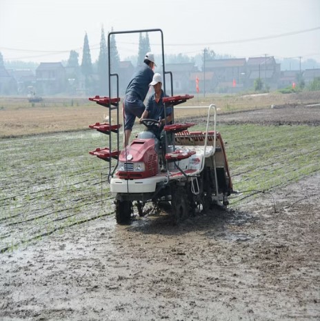 Máy cấy lúa loại nông nghiệp có hệ thống lái thủy lực 4 bánh