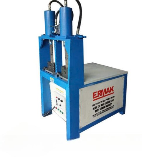 Máy đột dập 02 xilanh ERMAK Y100-2A
