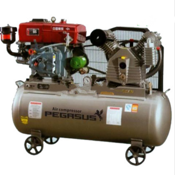 Máy nén khí chạy dầu Pegasus TM-V-1.05/12.5-500L