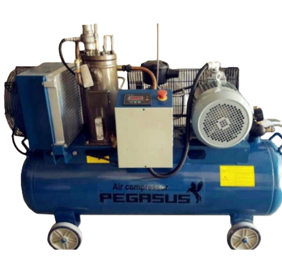 Máy nén khí trục vít Pegasus TMTV-10A