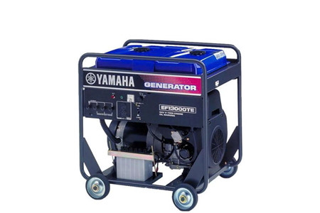 EF13000TE ảnh 1