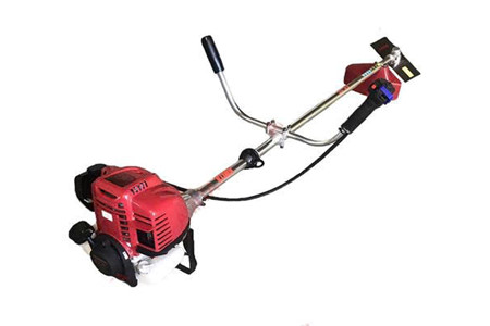 AB-25 ảnh 1
