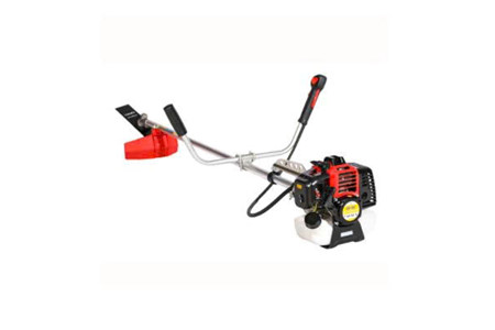 CS-33 ảnh 1