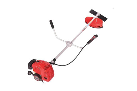  TL-236 ảnh 1