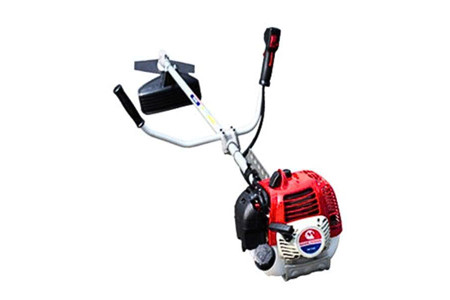 BCF500HTR-RS ảnh 1
