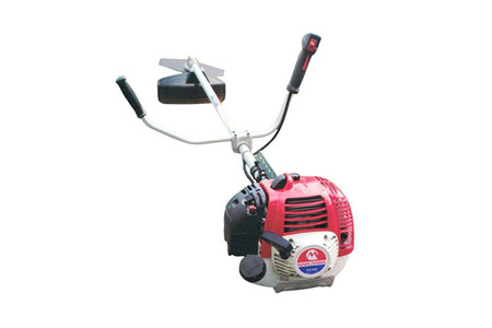 BCF 500HTR-RS(Y19) ảnh 1