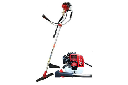 Oshima 260 ảnh 1