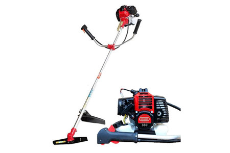 Oshima 330 ảnh 1