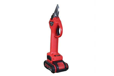 Yamafuji GD2 ảnh 1