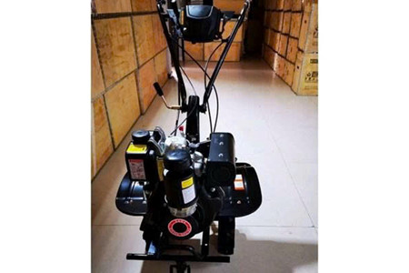 173 TTPRO ảnh 1