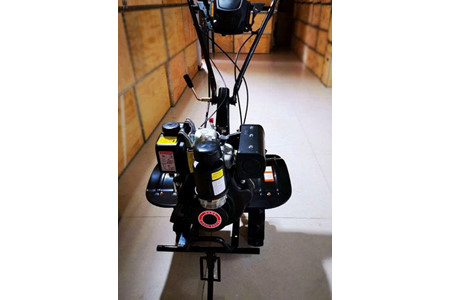 186F TTPRO ảnh 1