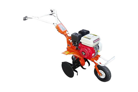 BL 550 ảnh 1