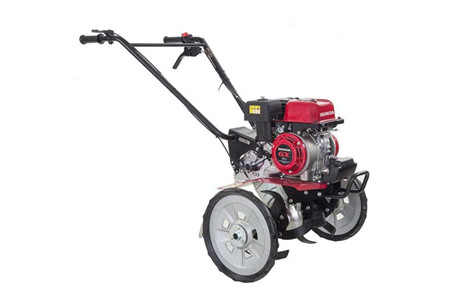 F300 IN ảnh 1