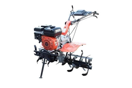 MK190 ảnh 1