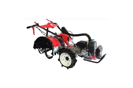 MP4 PRO VX-240G ảnh 1