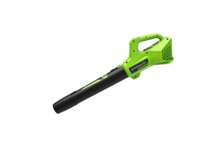 BLG306 ảnh 1