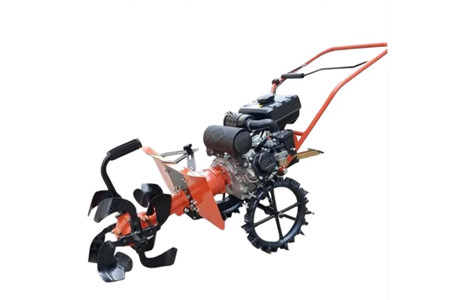 Yamafuji 6,5HP ảnh 1